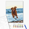 Malowanie po numerach Pies w morzu (BS51436)