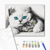Malowanie po numerach Koty (BS51695)