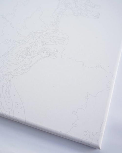 Malowanie po numerach Eksplozja soczystej papai (BS54145)