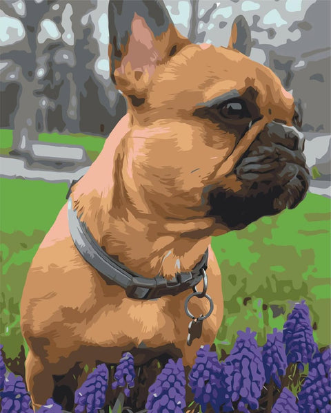 Malowanie po numerach z własnego zdjęcia - Zwierzęta