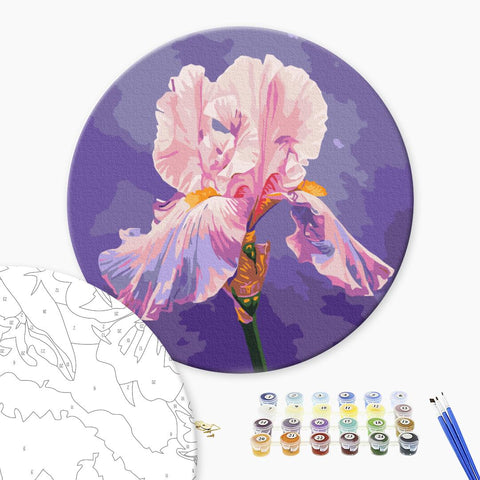 Okrągłe malowanie po numerach Różowa tęczówka © Anna Steshenko (RC00078M)