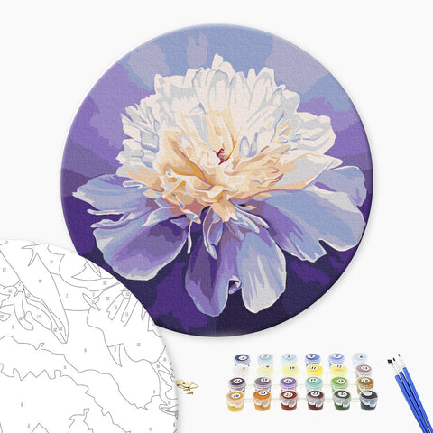 Okrągłe malowanie po numerach Delikatna piwonia © Anna Steshenko (RC00074M)