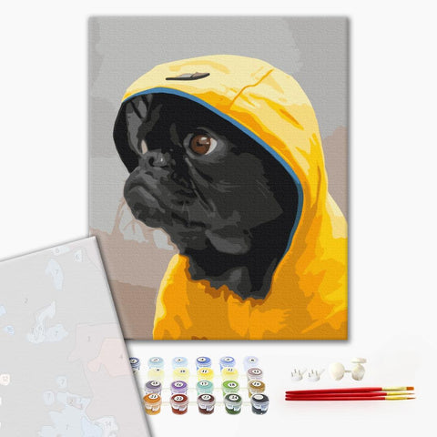 Premium malowanie po numerach Mops w bluzie z kapturem (PBS52614)