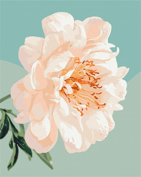 Malowanie po numerach Gracja piwonii © Halyna Vitiuk (BS53996)