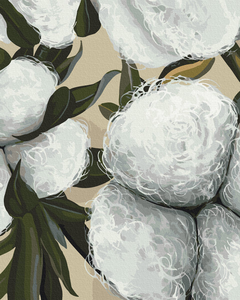 Malowanie po numerach Bawełna © Yana Biluhina (BS54064)