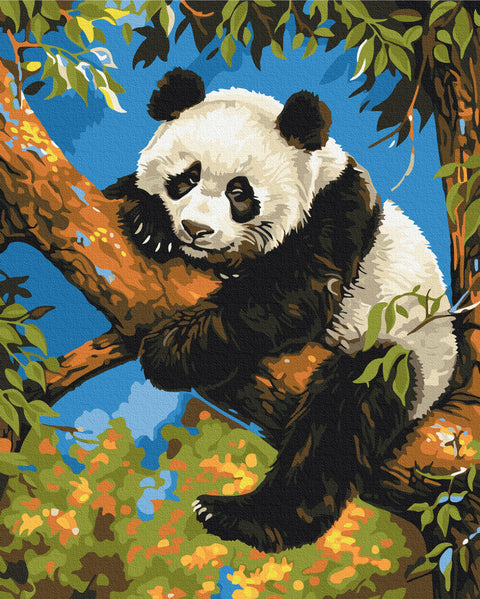 Malowanie po numerach Leniwa panda (BS53982)