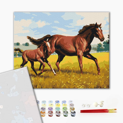 Premium malowanie po numerach Rodzina galop (PBS52394)