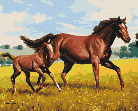 Premium malowanie po numerach Rodzina galop (PBS52394)