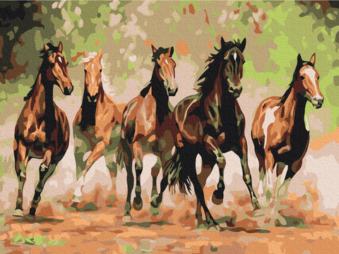 Premium malowanie po numerach Stado koni (PBS8288)
