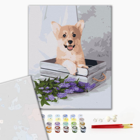 Premium malowanie po numerach Figlarny Corgi (PBS52653)