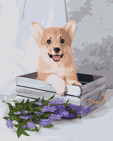 Premium malowanie po numerach Figlarny Corgi (PBS52653)