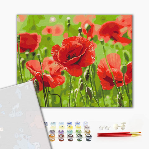 Premium malowanie po numerach Czerwone maki (PBS53703)