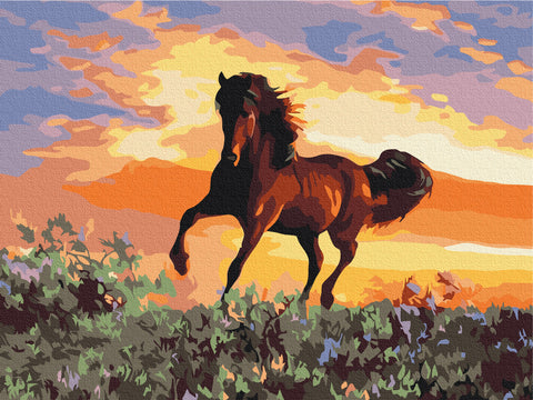 Premium malowanie po numerach Koń (PBS6943)