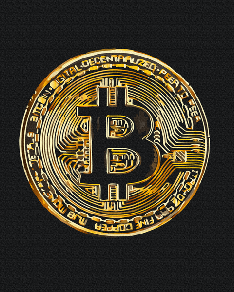 Premium malowanie po numerach Bitcoin (PBS53975)