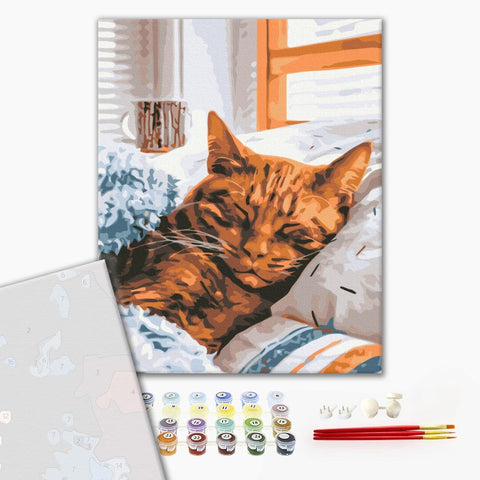 Premium malowanie po numerach Porany kot (PBS52320)