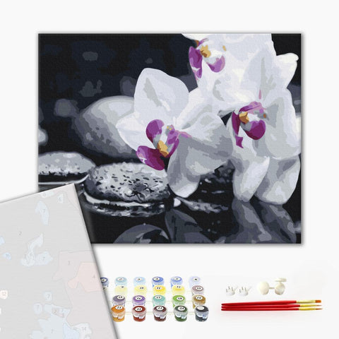 Premium malowanie po numerach Dzienni kwiaty (PBS21140)