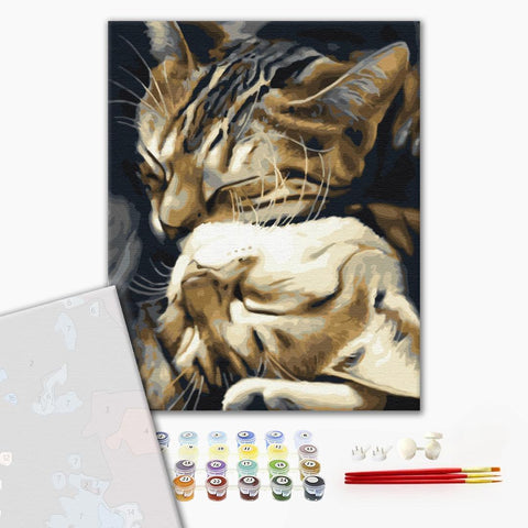 Premium malowanie po numerach śpiące koty (PBS29747)