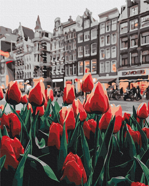Premium malowanie po numerach Tulipany Amsterdamu (PBS34169)