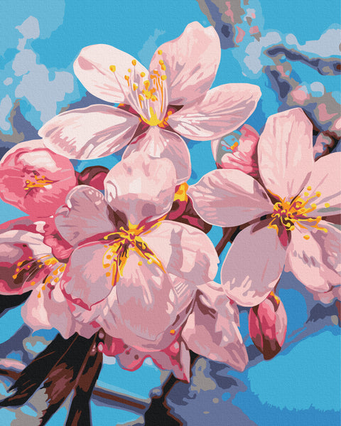 Malowanie po numerach Kwiat śliwy © Anastasiia Osmolovska (BS54283)