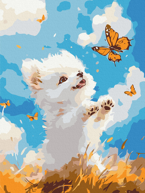 Malowanie po numerach Gra w kvatch (KBS0186)