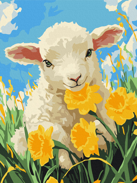 Malowanie po numerach Delikatne beczenie lata (RBS54317)