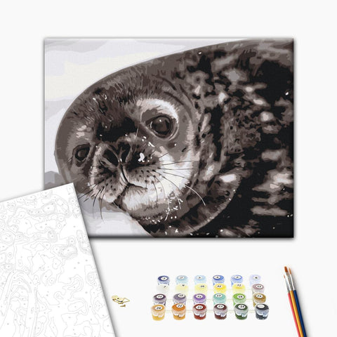 Malowanie po numerach Młode foki Weddella © Serhiy Glotov (BS54267)