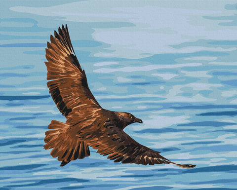 Malowanie po numerach Lot południowej zorzy polarnej © Serhiy Glotov (BS54269)