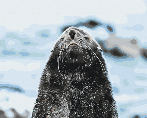 Malowanie po numerach Navy SEAL © Serhiy Glotov (BS54270)