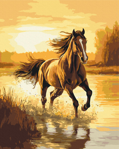 Malowanie po numerach Wiatr w grzywie (BS54419)