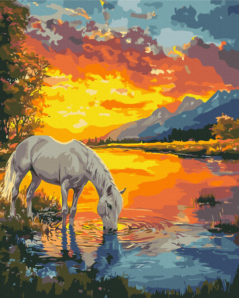 Malowanie po numerach Koń o świcie (BS54417)