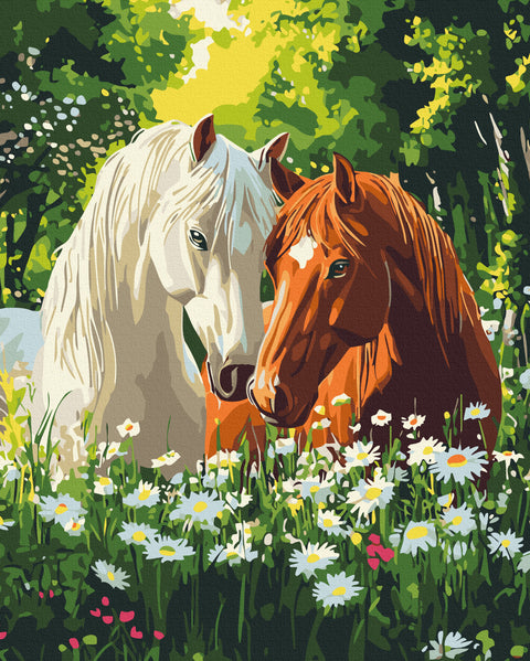 Malowanie po numerach Cisza kwitnących poranków (BS54425)