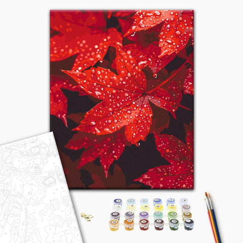 Malowanie po numerach Jesienne serce w kroplach (BS54397)