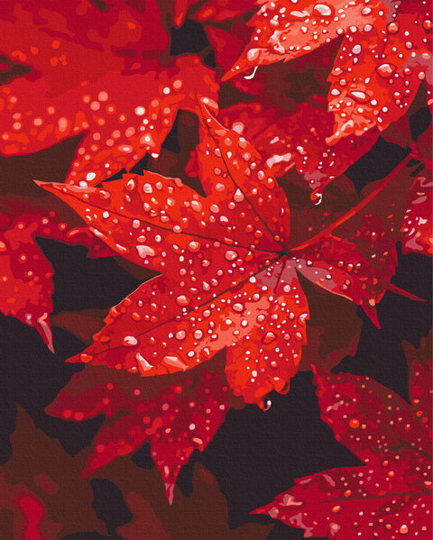 Malowanie po numerach Jesienne serce w kroplach (BS54397)