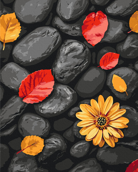 Malowanie po numerach Liście na kamieniach (BS54394)