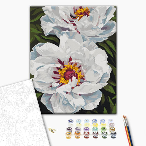 Malowanie po numerach Biała poświata © Anastasia Alyokhina (BS54477)