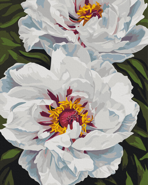 Malowanie po numerach Biała poświata © Anastasia Alyokhina (BS54477)