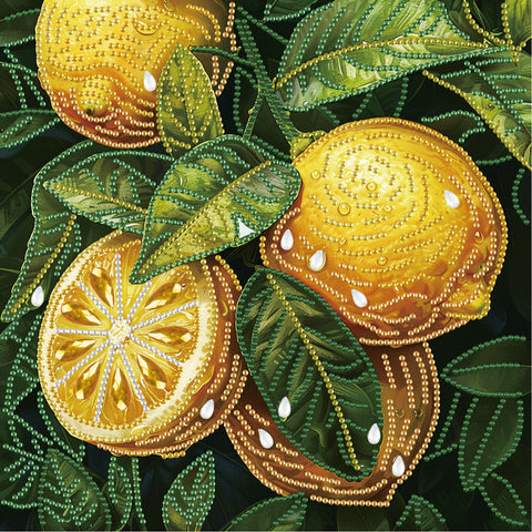 Haft diamentowy Uroczy pingwin (BH023)