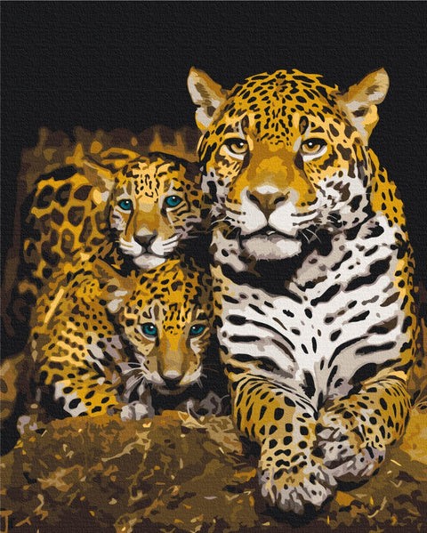 Premium malowanie po numerach Leopardy nocne (PBS52791)