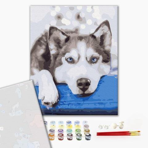 Premium malowanie po numerach Husky w oczekiwaniu (PBS51895)