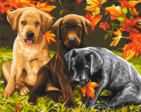 Premium malowanie po numerach Trzy szczeniaka (PBS6530)