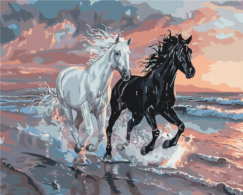 Premium malowanie po numerach Duet Wiatrów (PBS54025)