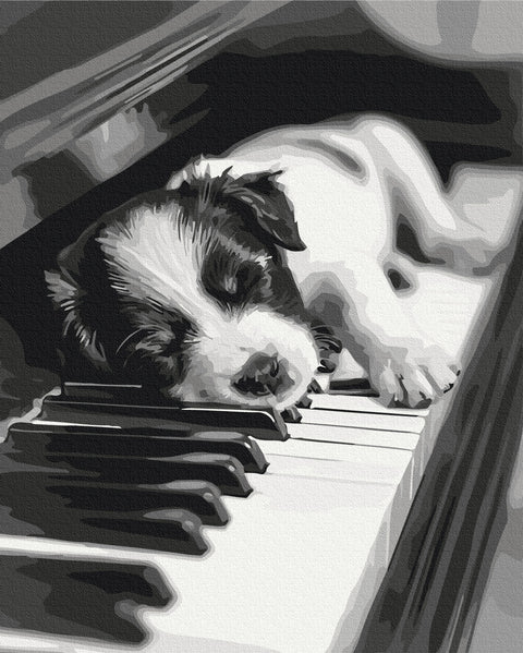 Premium malowanie po numerach Melodia snu (PBS54066)