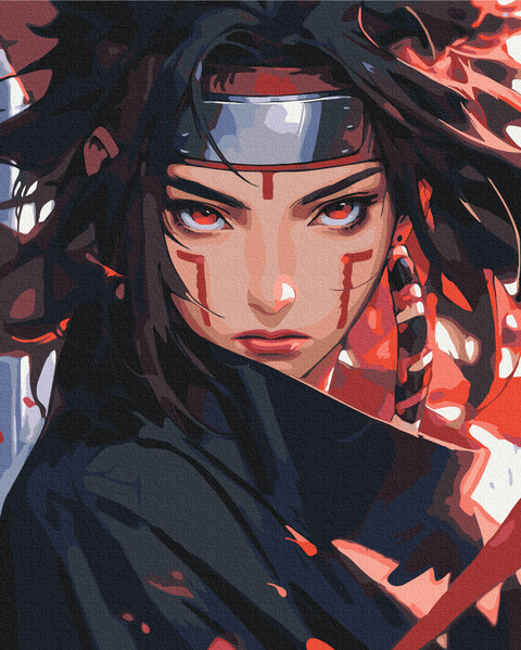 Premium malowanie po numerach Ninja (PBS54072)