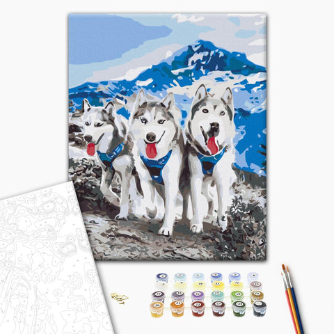 Malowanie po numerach Przyjaciele Husky (RBS52389)