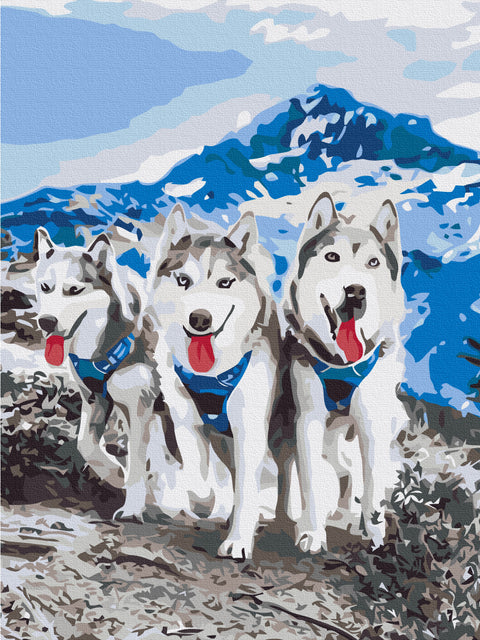 Malowanie po numerach Przyjaciele Husky (RBS52389)