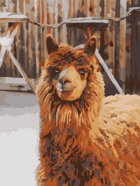 Malowanie po numerach Lama na farmie (RBS52266)