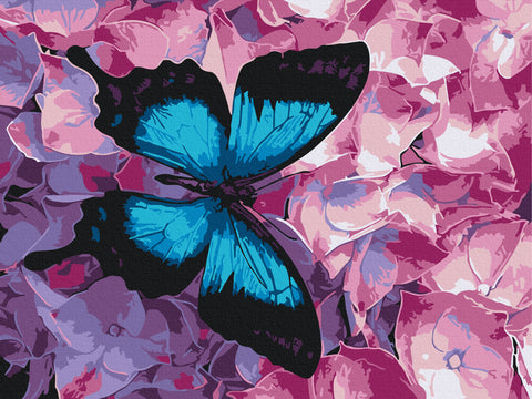 Malowanie po numerach Motyl na kwiatach (RBS21627)