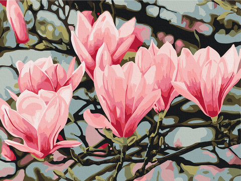 Malowanie po numerach Kwiat magnolii © Anastasia Osmolovskaya (RBS54135)
