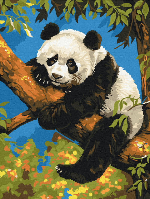Malowanie po numerach Leniwa panda (RBS53982)