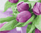 Malowanie po numerach Tulipany na stole (BS21540)